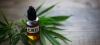Siguen las discusiones sobre el cannabidiol (CBD) y derivados en el seno de la UE